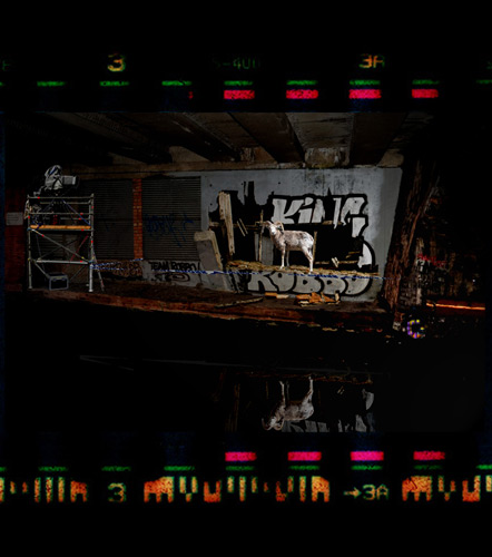 FILMROLL1Aflat_05