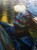 waterloodetail500